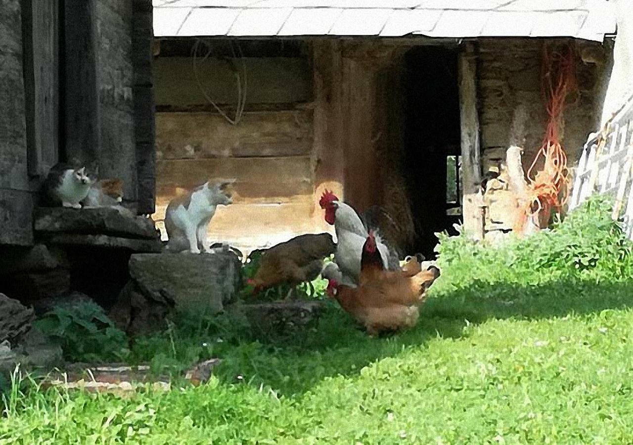 Bauernhof Hatzlhof Schöder Zewnętrze zdjęcie