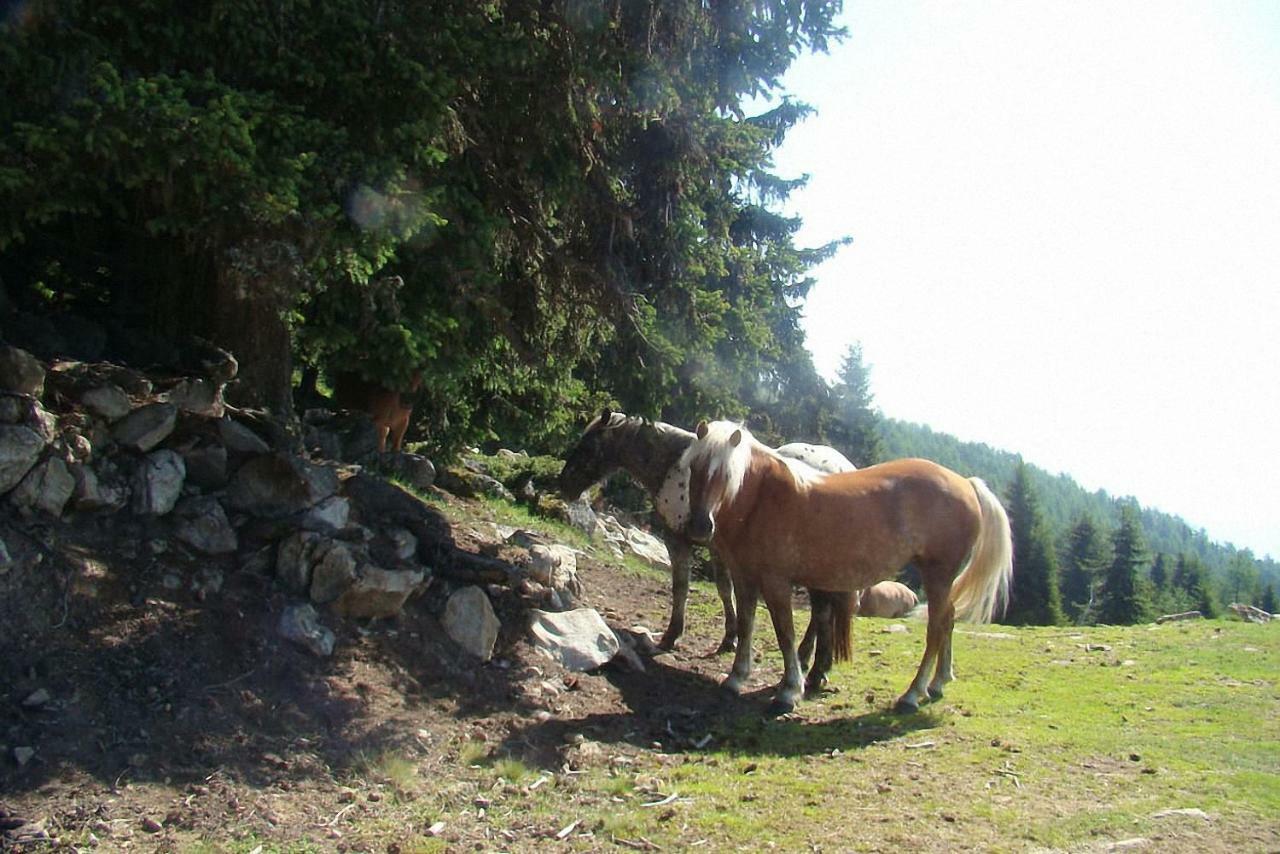 Bauernhof Hatzlhof Schöder Zewnętrze zdjęcie