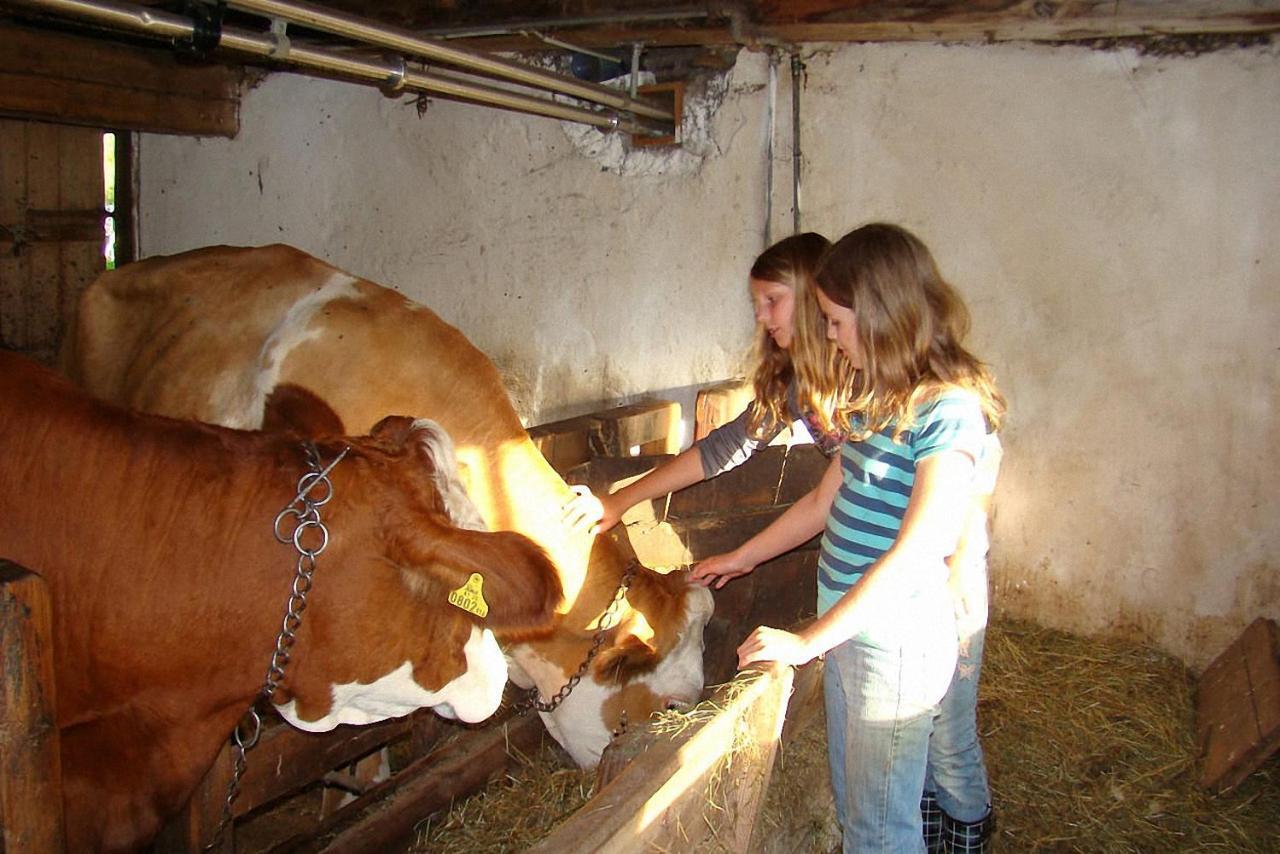 Bauernhof Hatzlhof Schöder Zewnętrze zdjęcie