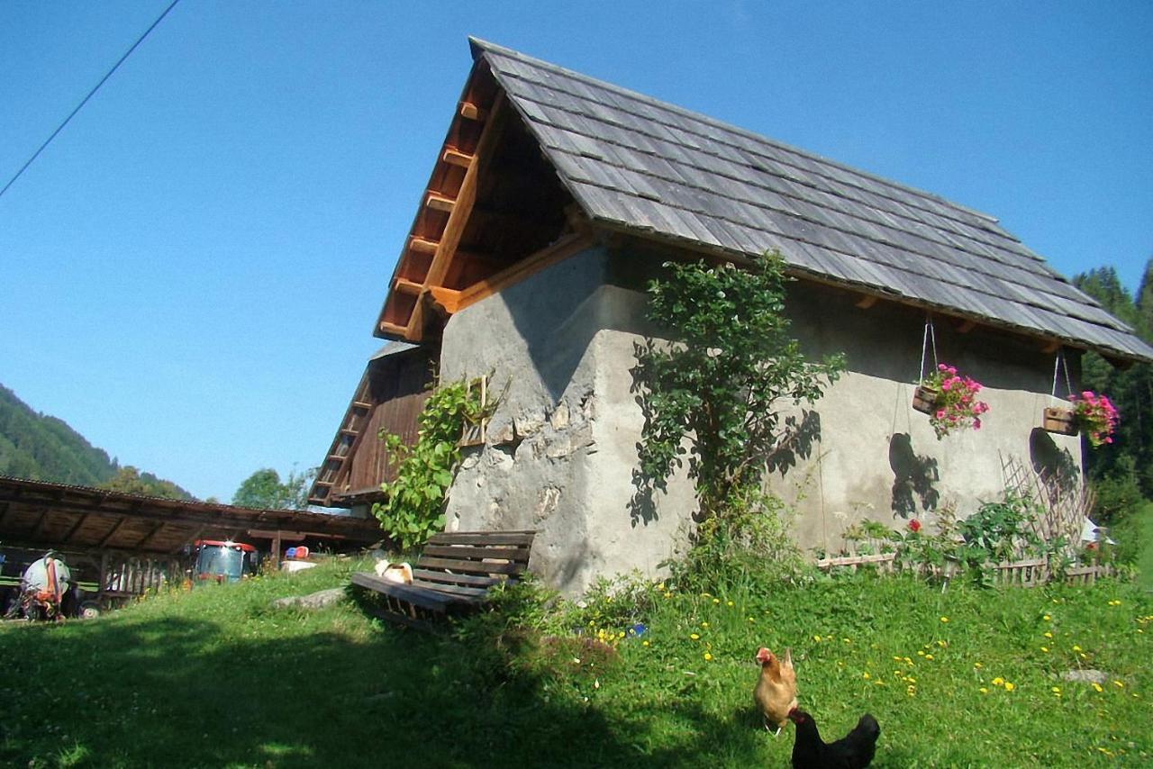 Bauernhof Hatzlhof Schöder Zewnętrze zdjęcie